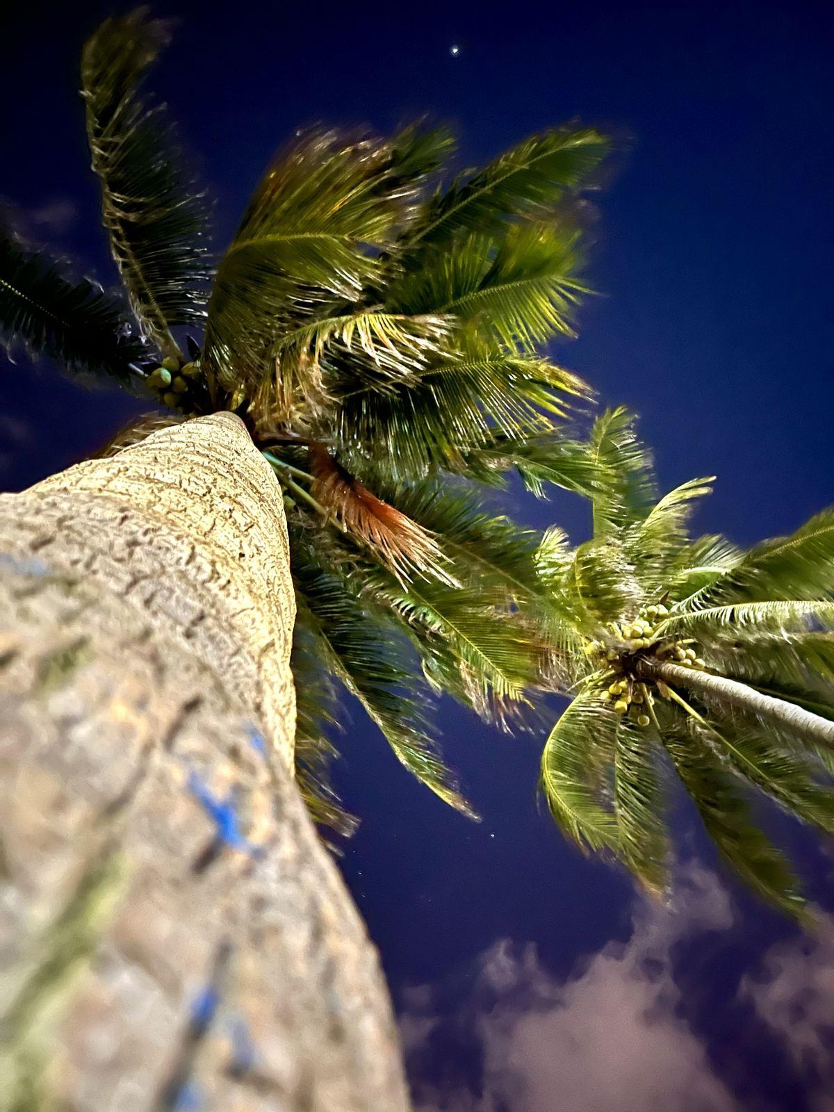 Travel — shot 15